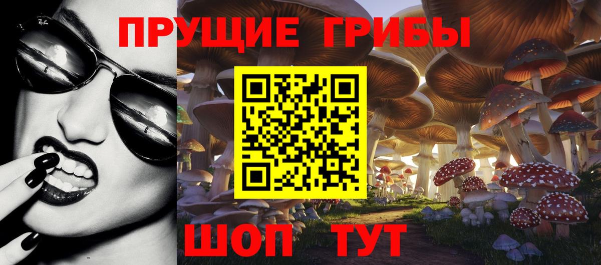 купить  цена  Вход с VPN  Псилоцибиновые грибы мухоморы  Сорочинск  Галлюциногенные грибы мухоморы 